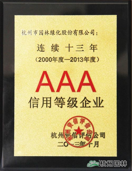 亚洲精品白浆高清久久久久久
