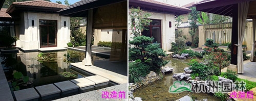 亚洲精品白浆高清久久久久久