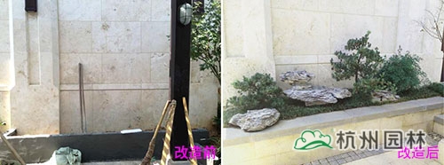 亚洲精品白浆高清久久久久久