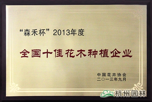 亚洲精品白浆高清久久久久久