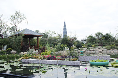 亚洲精品白浆高清久久久久久