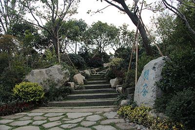 亚洲精品白浆高清久久久久久