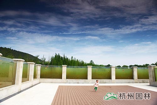亚洲精品白浆高清久久久久久