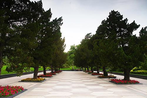 亚洲精品白浆高清久久久久久