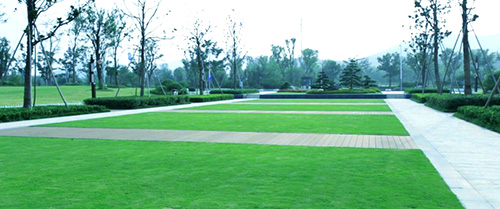 亚洲精品白浆高清久久久久久