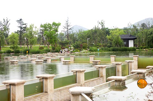 亚洲精品白浆高清久久久久久