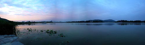 亚洲精品白浆高清久久久久久