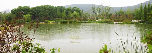 亚洲精品白浆高清久久久久久