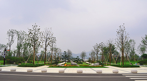 亚洲精品白浆高清久久久久久