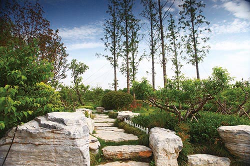 亚洲精品白浆高清久久久久久