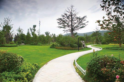 亚洲精品白浆高清久久久久久