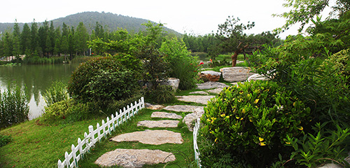 亚洲精品白浆高清久久久久久