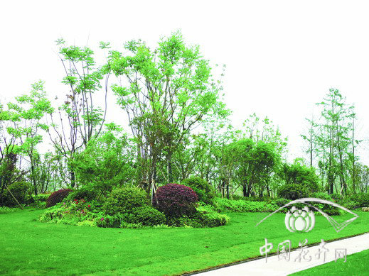 亚洲精品白浆高清久久久久久