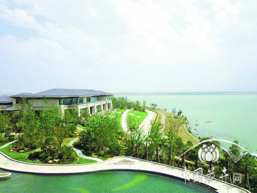 亚洲精品白浆高清久久久久久