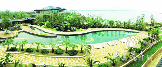 亚洲精品白浆高清久久久久久