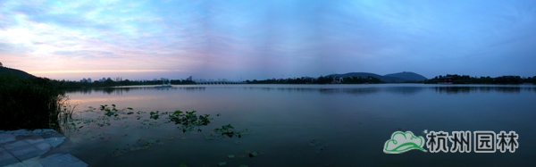 亚洲精品白浆高清久久久久久