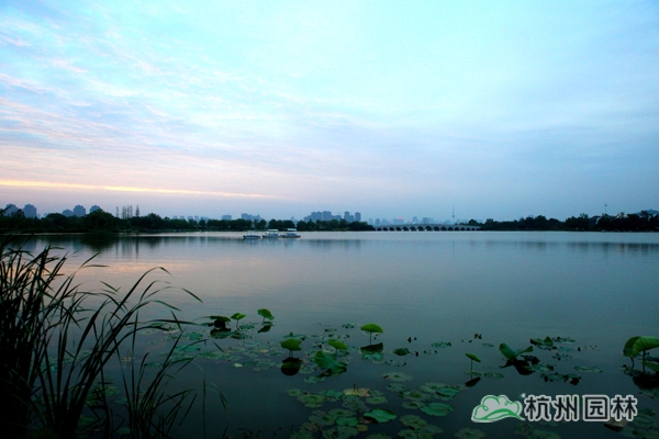 亚洲精品白浆高清久久久久久