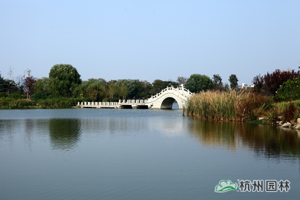 亚洲精品白浆高清久久久久久