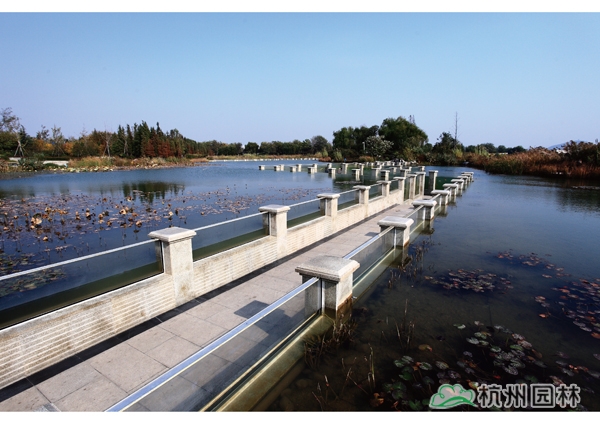 亚洲精品白浆高清久久久久久