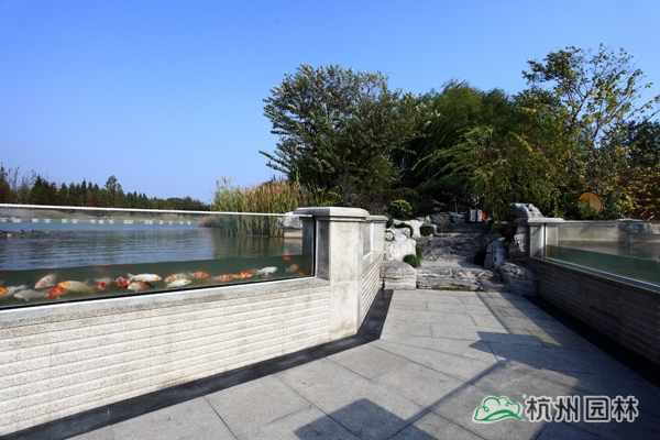 亚洲精品白浆高清久久久久久