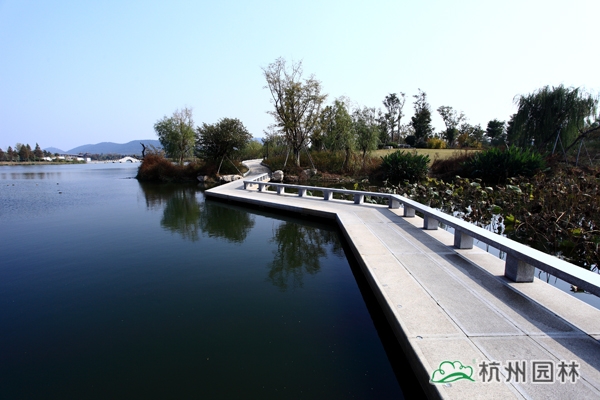 亚洲精品白浆高清久久久久久