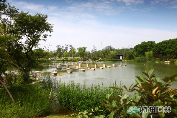 亚洲精品白浆高清久久久久久