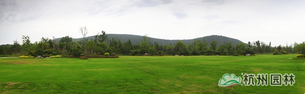 亚洲精品白浆高清久久久久久