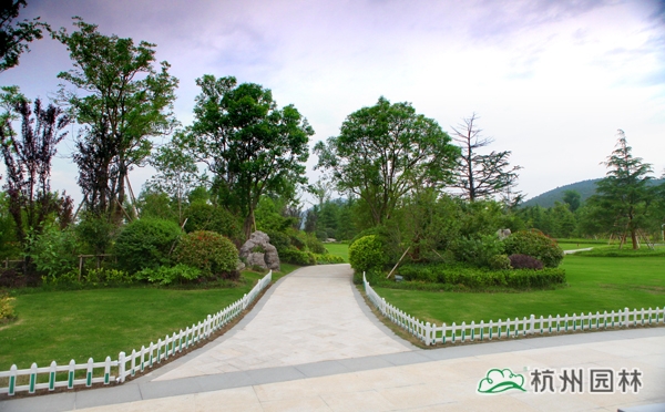 亚洲精品白浆高清久久久久久