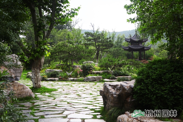 亚洲精品白浆高清久久久久久