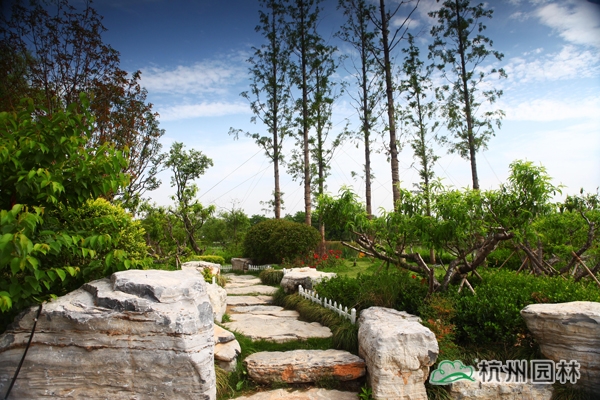 亚洲精品白浆高清久久久久久