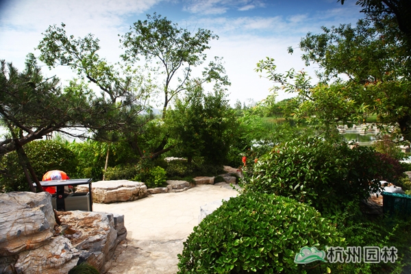 亚洲精品白浆高清久久久久久