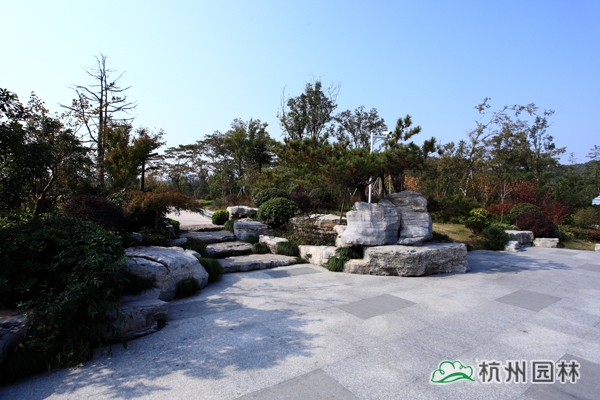 亚洲精品白浆高清久久久久久