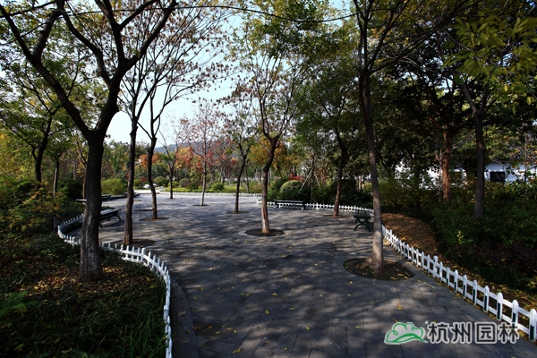 亚洲精品白浆高清久久久久久