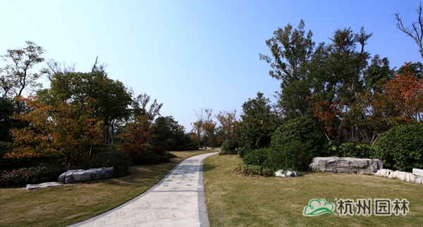 亚洲精品白浆高清久久久久久