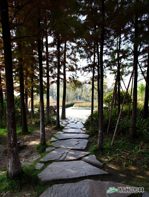 亚洲精品白浆高清久久久久久