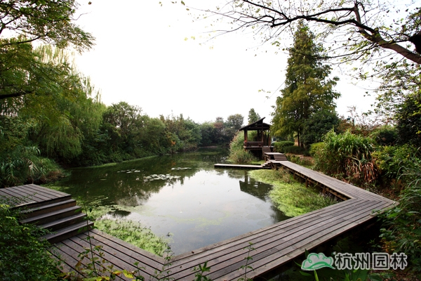 亚洲精品白浆高清久久久久久