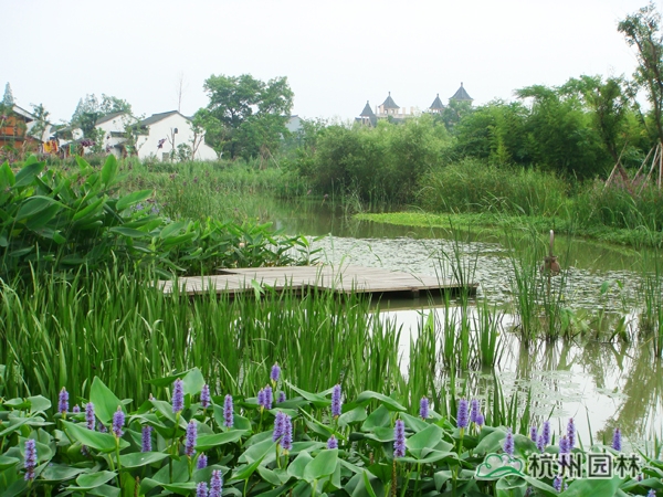 亚洲精品白浆高清久久久久久