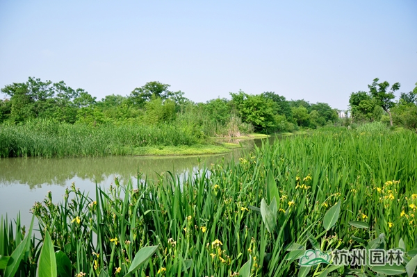 亚洲精品白浆高清久久久久久