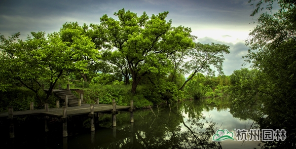 亚洲精品白浆高清久久久久久