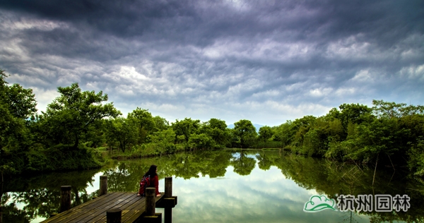 亚洲精品白浆高清久久久久久