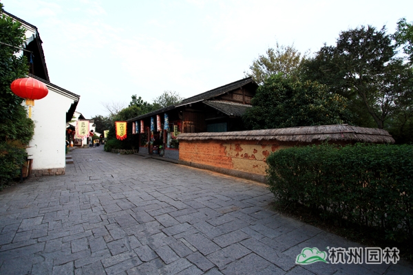 亚洲精品白浆高清久久久久久