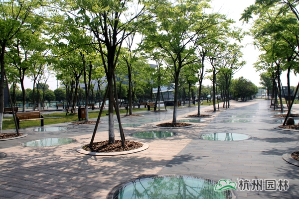 亚洲精品白浆高清久久久久久