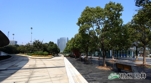 亚洲精品白浆高清久久久久久