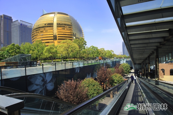 亚洲精品白浆高清久久久久久