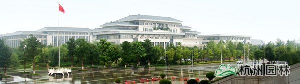 亚洲精品白浆高清久久久久久