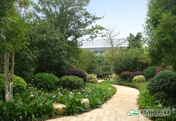 亚洲精品白浆高清久久久久久