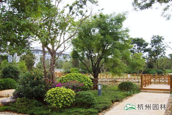 亚洲精品白浆高清久久久久久