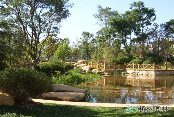 亚洲精品白浆高清久久久久久