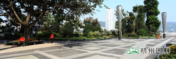 亚洲精品白浆高清久久久久久