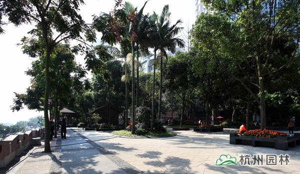 亚洲精品白浆高清久久久久久